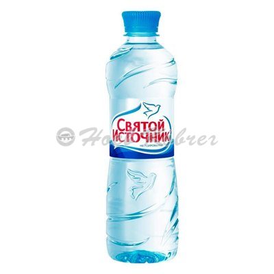 Святой Источник 0,5л б/г (1х12)